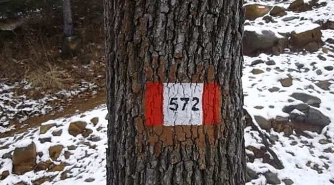 Occuparsi della Piccola Montagna di Torino