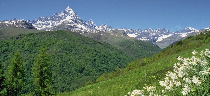 “Montagne di Sera 2022”