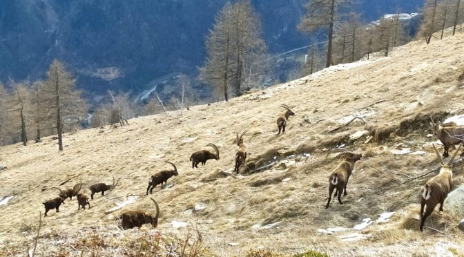 La montagna e il suo paesaggio