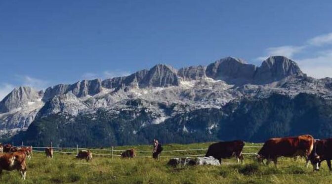 In edicola MERIDIANI MONTAGNE “MONTE CANIN E PREALPI GIULIE“